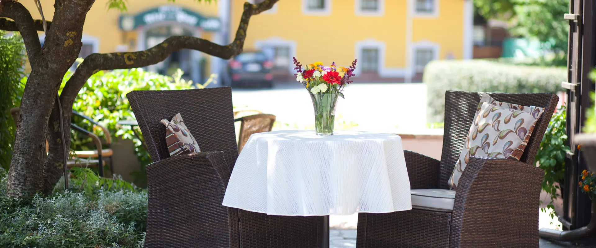 Pension Schierl Salzkammergut - Tisch im Garten